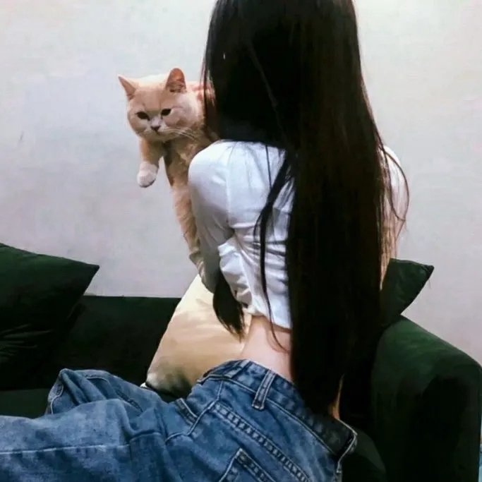 离圣诞节还有6小时